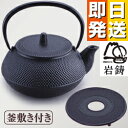 岩鋳 南部鉄器 南部小鉄瓶 5型新アラレ(釜敷き付き)【南部鉄瓶 岩鋳 南部鉄器 急須 鉄分補給 鉄瓶兼用急須】【NT3】
