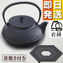 岩鋳 南部鉄器 南部小鉄瓶 5型新亀甲(釜敷き付き)【南部鉄瓶 岩鋳 南部鉄器 急須 鉄分補給 鉄瓶兼用急須 敬老の日】【NT3】