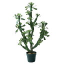 人工観葉植物 ユーフォルビアポット112(1個)bb500-0 サボテン (代引き不可) インテリア フェイクグリーン 造花 CACTUS (p90)