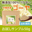 ゴーヤ 無添加100%パウダー(沖縄県産) 50g ゴーヤ茶 国産 苦瓜 にがうり 粉末 ゴーヤー茶 種入り【10P05Nov16】