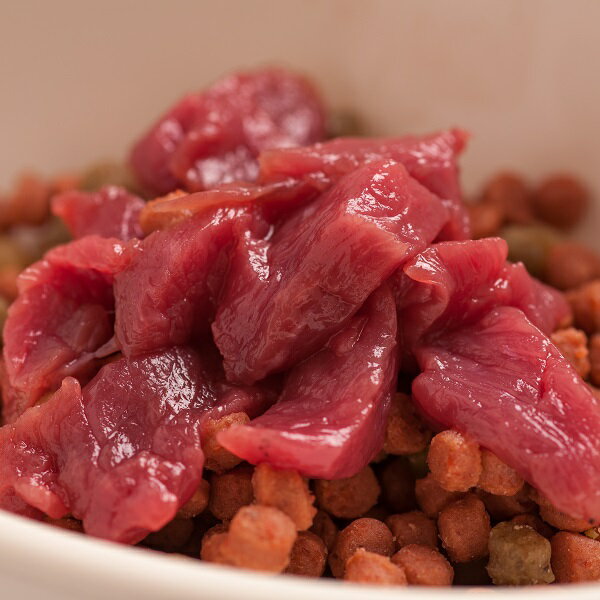 p  n  @ѕ݉P Ԑg䗦98v~Aybgn3kg  n  ybg ybgt[h Y hbOt[h ybgn v~Aybgn 50g~60P  dog food _CGbg J[ S yf