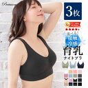 3枚組 ナイトブラ 育乳 バストアップ ノンワイヤー 大きいサイズ ラクブラ24 かわいい スポーツ 夜用 美胸 寝る時 小胸 補正 らく マタニティ プレミーナ レディース 下着