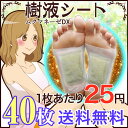 送料無料 樹液シート 足裏樹液シート 40枚入り寝ている間にカラダスッキリ 足裏樹液シート足裏樹液シート むくみ ケア 健康 お徳用 足裏 フットケア 快足 安眠