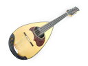 【中古】 中古 Andreas Eastman マンドリン クラシック 2009 8弦 ハードケース付 N2507710