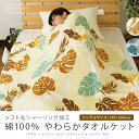 タオルケット シングルサイズ 140×190cm 綿100% モンステラ柄 シャーリングケット コットン 肌掛け 寝具 涼感 吸水 通気性 洗える ブランケット 【送料無料】