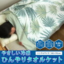 タオルケット 接触冷感 シングル ひんやり ケット シダ柄 ...