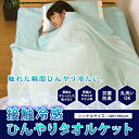 タオルケット 衿裏冷感素材 ひんやり ケット シングルサイズ 140×190cm 接触冷感 FEEL THE COOL フィール・ザ・クール 涼感 冷感 クール 通気性 パイルケット キルトケット 肌掛け 寝具 【送料:サイズM】