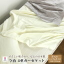 今治タオル ガーゼケット 4重ガーゼケット シングル 140×190cm 綿100% 洗うほどやわ
