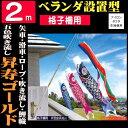 こいのぼり 【特選】昇寿ゴールド ベランダ2mセット/スカイ...