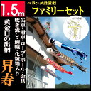 こいのぼり 黄金昇寿鯉ファミリーベランダ 1.5mセット【ベ...