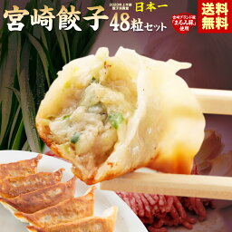 【送料無料】宮崎の人気・餃子専門店屋台骨 宮崎ブランドポーク使用餃子48粒　宮崎の餃子は高鍋餃子だけじゃない！ご当地グルメ　秘密のケンミンshow　かりそめ天国 セブンルール <strong>アンタッチャブル</strong>のがむしゃらグルメ団