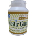 マスティック ガム 徳用 ボトル ( 口臭 予防 )