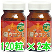 ウコン送料無料　肝臓サポート【純正濃縮ウコン粒　120粒×2個（うこん・ウコン・ukon）】