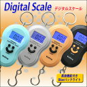 吊り下げ型 デジタルスケール☆10gから40kgまで 釣り用品【HLS_DU】【ゆうメール便 送料無料 1000円 ポッキリ】