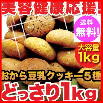 訳あり 豆乳 おからクッキー ソフトタイプ1kg ダイエットクッキー 【送料無料】！