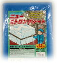 ブルーシート 10×10 画像