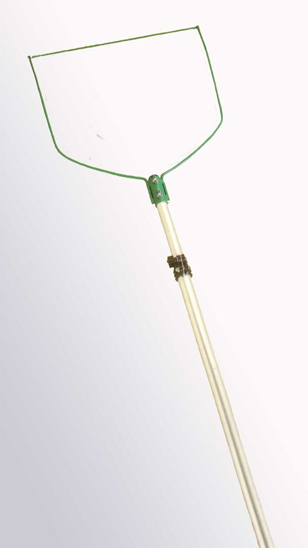 緿ʤΤᡢϤѤǤޤ󡣥磻䡼㥫åȥߥѥ׿̥å