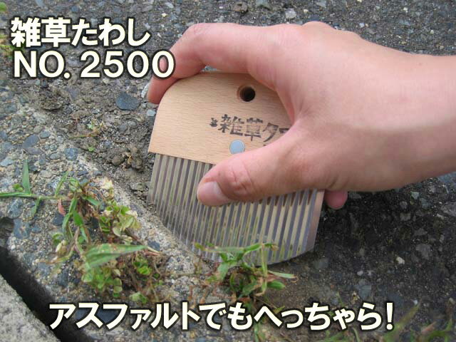 仁作　雑草たわし［NO.2500］＜株式会社富田刃物｜日本製＞縁石際や<strong>敷石</strong>すき間の雑草刈に最適。雑草ブラシ！コンクリやアスファルトでもガンガン使えます！※ネコポス配送【沖縄・離島でも頑張って送料無料！】