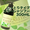 ナプラ ケアテクトHB カラーシャンプー 300mL 【S・しっとり タイプ】