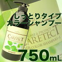 ナプラ ケアテクトHB カラーシャンプー 750mL 【S・しっとり タイプ】