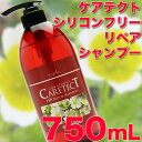 ナプラ ケアテクトHB リペアシャンプー 750mL【R／リペアタイプ】赤ボトル