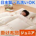 布団 ふとん 防虫 防ダニ アレルギー対策 洗える ウオッシャブル 丸洗いOK 日本製 寝具 掛布団 掛け布団 サイズ 子供 ジュニア キッズ アウトレット %OFF{激安}特価 格安 安い 通販 販売 北欧 シンプル モダン セール