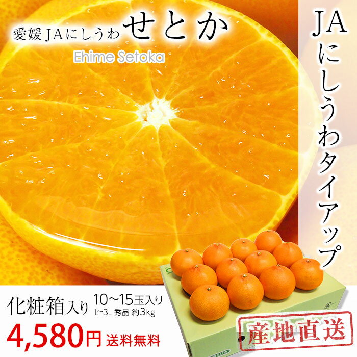 みかん 送料無料 3kg せとか 贈答用 秀品 L〜3Lサイズ 10〜15玉 愛媛県産 JAにしうわ 産地直送 【ミカン/蜜柑/お取り寄せ/フルーツ/ギフト】【産直プレミアム】