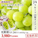 シャインマスカット 露地栽培 1.2kg 約600gx2房 JAフルーツ山梨 産地直送 化粧箱入り 送料無料 【マスカット/葡萄/ブドウ/ぶどう/フルーツ/ギフト/贈答/プレゼント】【送料無料】【産直プレミアム】