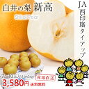 白井の梨 新高 千葉 JA西印旛 7〜10玉 約5kg 産地直送 送料無料 【梨/なし/ナシ/フルーツ/お取り寄せ】【産直プレミアム】
