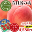 春日居の桃 青秀 6玉 約1.8kg JAフルーツ山梨 春日居支所 送料無料 【春日居のもも/モモ/フルーツ/ギフト/贈答/プレゼント/御中元/お中元】【産直プレミアム】