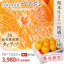 デコポン 優品 露地栽培 約3kg 10〜12玉 JAグルー...