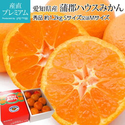 みかん 蒲郡<strong>ハウスみかん</strong> 秀品 約1.2kg Sサイズ（15個） 又は Mサイズ（12個） 愛知県産【ミカン 蜜柑 温室みかん お取り寄せ フルーツ 果物 ギフト 贈答 プレゼント 内祝い 箱サイズ 糖度12度以上】【産直プレミアム】