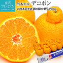 訳ありではありません デコポン 正規品 ...