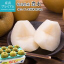 梨 豊水 約3kg 9~12玉 JAふくしま未来 福島県 送料無料 産地直送 【なし/ナシ/ほうすい/ホウスイ/お取り寄せ/フルーツ/果物/ギフト/贈答用/プレゼント/内祝い/出産祝い/残暑見舞い】【産直プレミアム】