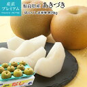 梨 あきづき 約3kg 9~12玉 JAふくしま未来 福島県 送料無料 産地直送 【なし/ナシ/秋月/アキヅキ/お取り寄せ/フルーツ/果物/ギフト/贈答用/プレゼント/内祝い/出産祝い/残暑見舞い】【産直プレミアム】