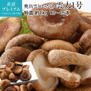 しいたけ 雲太1号 特選 約1kg 約12~15本 奥出雲 島根県 送料無料 【椎茸/シイタケ/高級/お取り寄せ/野菜/ベジタブル/きのこ/キノコ/ギフト/贈答用/プレゼント/内祝い】【産直プレミアム】