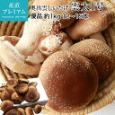しいたけ 雲太1号 優品 約1kg 約12~15本 奥出雲 島根県 送料無料 【椎茸/シイタケ/お取り寄せ/野菜/ベジタブル/きのこ/キノコ/家庭用/自宅用】【産直プレミアム】