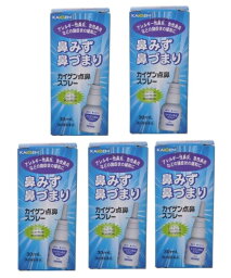 【×5箱<strong>セット</strong>送料込】【第2類医薬品】カイゲン 点鼻スプレー 30ml スプレー式の点鼻薬( 4987040053097 ) ※セルフメディケーション税制対象