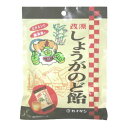 【送料無料】カイゲンファーマ しょうがのど飴 80g 1個