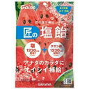【×20個セット送料込】サラヤ 匠の塩飴 スイカ味 100g