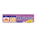 【送料無料・まとめ買い×6個セット】【第(2)類医