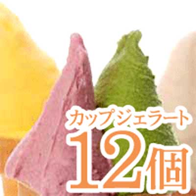 北海道5ッ星感動ジェラート12コチョイス【10P14Sep09】【200911_送料無料】ランキング32週連続第1位獲得ジェラート!北海道からつくりたてをお届け!行列の出来る北国の人気アイス♪