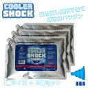 【送料無料】COOLER SHOCK(クーラーショック)Lサイズ 3個セット 保冷剤 アイスパック 保冷 アウトドア