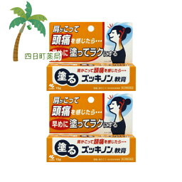 【第3類医薬品】塗る<strong>ズッキノン</strong><strong>軟膏</strong>(15g) 2個セット★★【追跡可能メール便】【送料無料】JAN___4987072083239