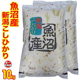 あす楽本日セール中☆五ツ星お米マイスター厳選米 令和5年産 新潟 魚沼産 コシヒカリ 10kg (5kg×2) 食味分析80点以上 白米 精米 魚沼産 コシヒカリ 新潟産 コシヒカリ お米 ギフト お米 新潟 米 精米仕立て 産地直送 低温倉庫管理米