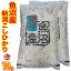 限定特価（特A地区1等米） 令和2年産 新潟 魚沼産 コシヒカリ 10kg (5kg×2)食味分析80点以上(産地直送米） 白米 精米 魚沼産 コシヒカリ 新潟 こしひかり うまい 新潟県産 コシヒカリ 魚沼 コシヒカリ お米 ギフト お米 10キロ 令和2年 お米 送料無料