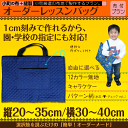 【日本製】 1cm刻みでサイズが選べる オーダー レッスンバッグ 【布+製作タイプ】 【オーダーメイド】