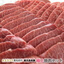 【A5ランク 黒毛和牛 + とんとろ + 豚バラカルビ 】極...