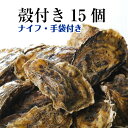 【牡蠣 殻付き 広島産 15個】 広島牡蠣生産者米田海産が育てた殻付き牡蠣 生牡蠣 加熱用