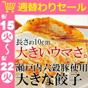 <週替わりセール200円OFF>瀬戸内六穀豚使用 大きな餃子...